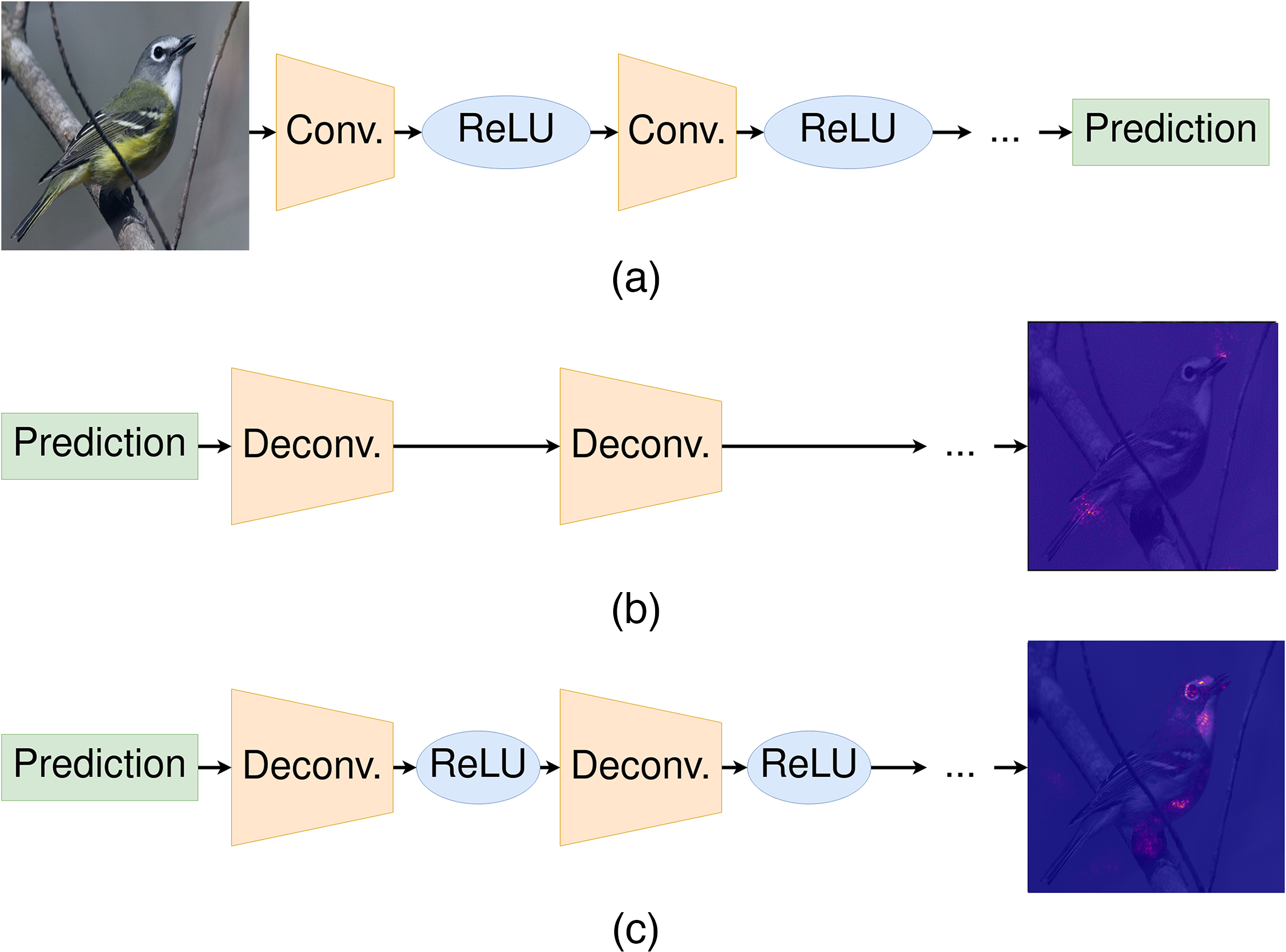 Computing and evaluating saliency maps for image classification: a tutorial