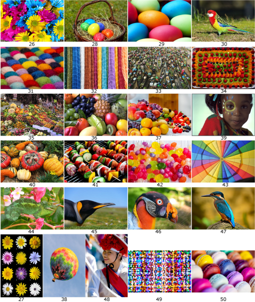 JEI_32_3_033019_f003.png