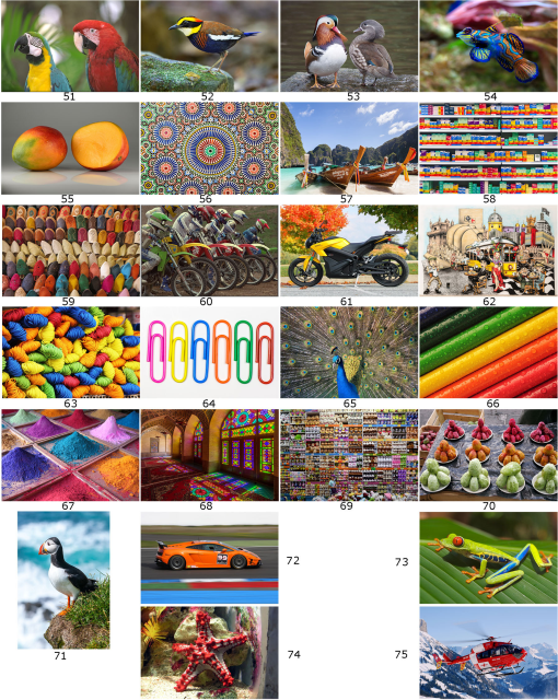JEI_32_3_033019_f004.png