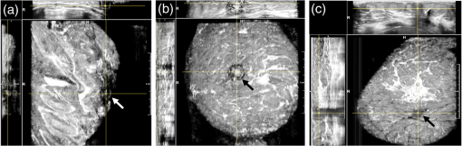 JMI_3_2_027002_f008.png