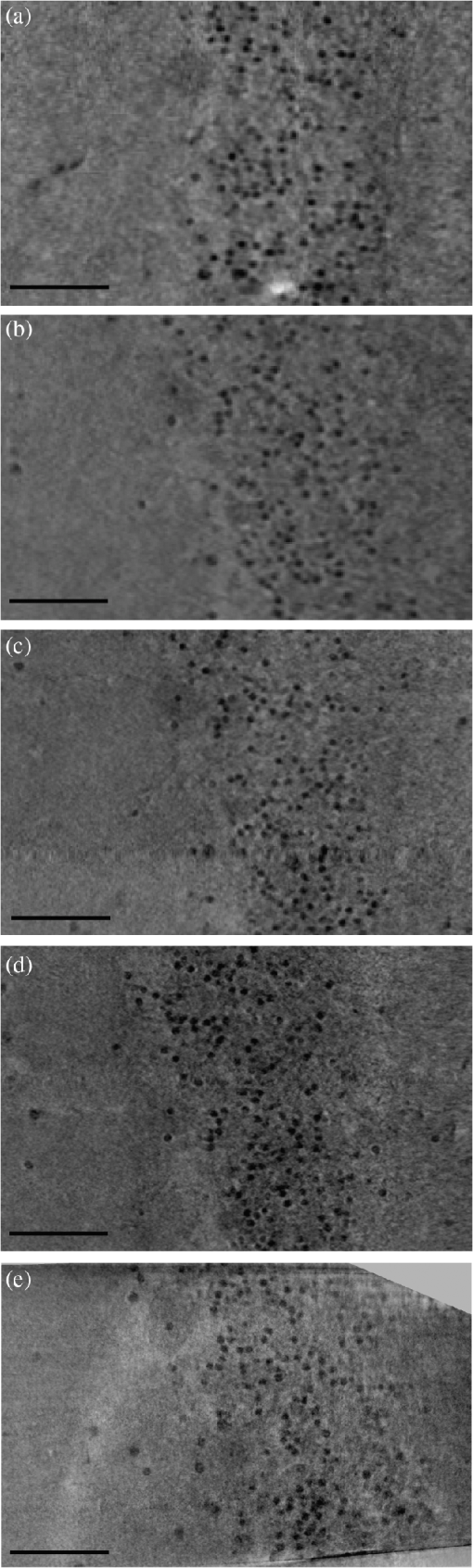 JMI_7_1_013502_f005.png