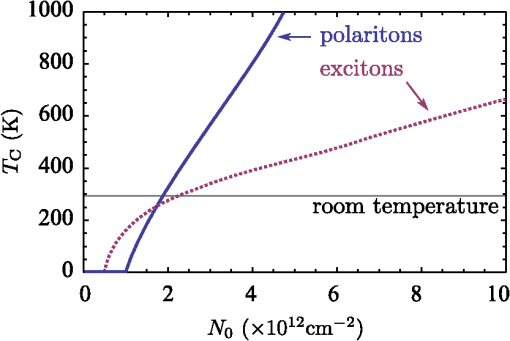 Superconductivity With Excitons And Polaritons Review And