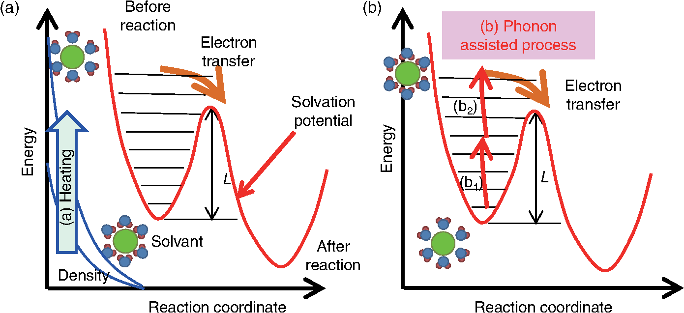 Phonon-assisted near-field activation of electron transfer