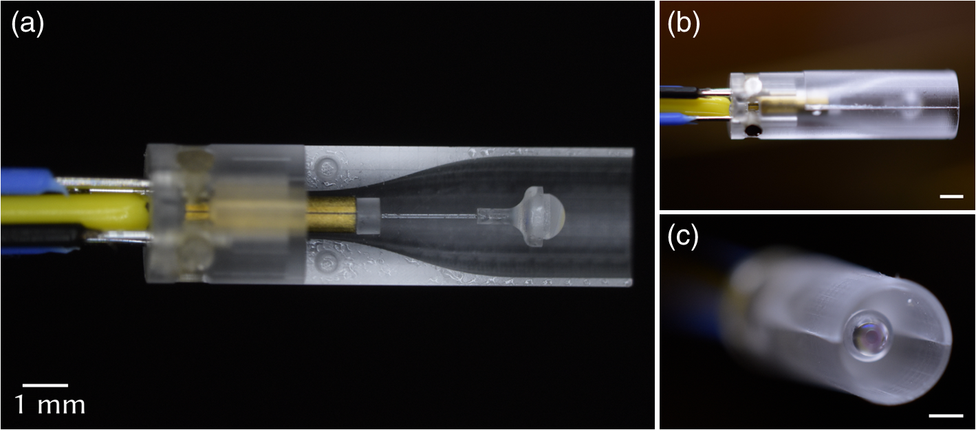 Microendoscope Preclinical-grade microendoscope for optical coherence tomography and ...