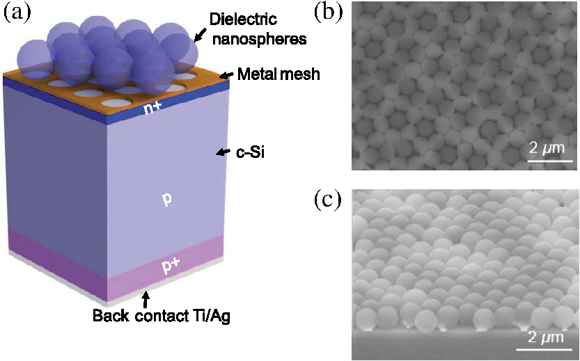 crystalline si solarcell crystalline si solarcell