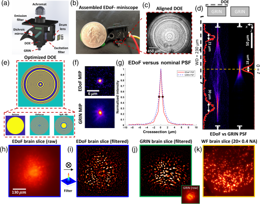 Pupil engineering for extended depth-of-field imaging in a fluorescence ...