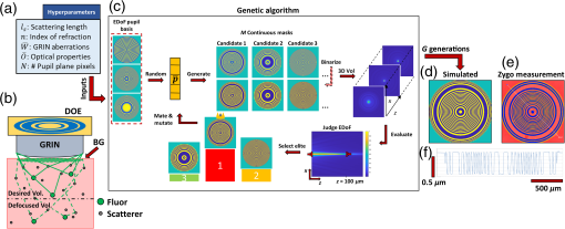 Pupil engineering for extended depth-of-field imaging in a fluorescence ...