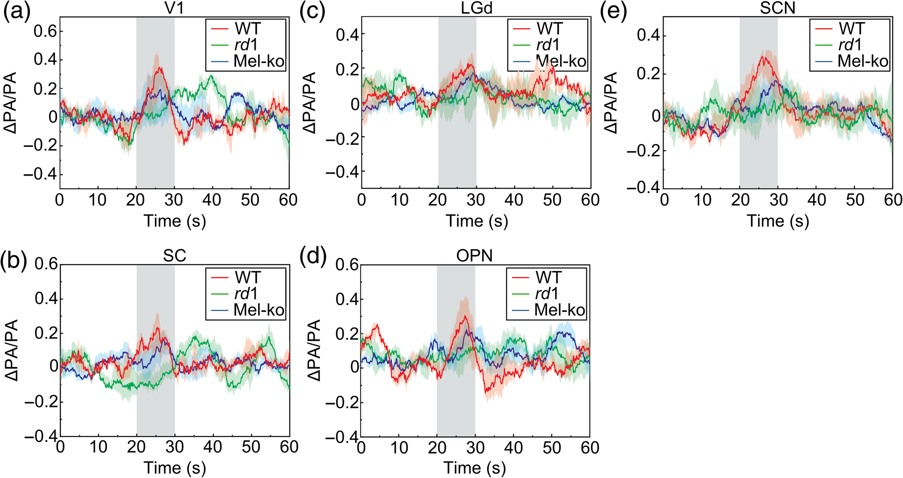 Label-free photoacoustic computed tomography of visually evoked ...