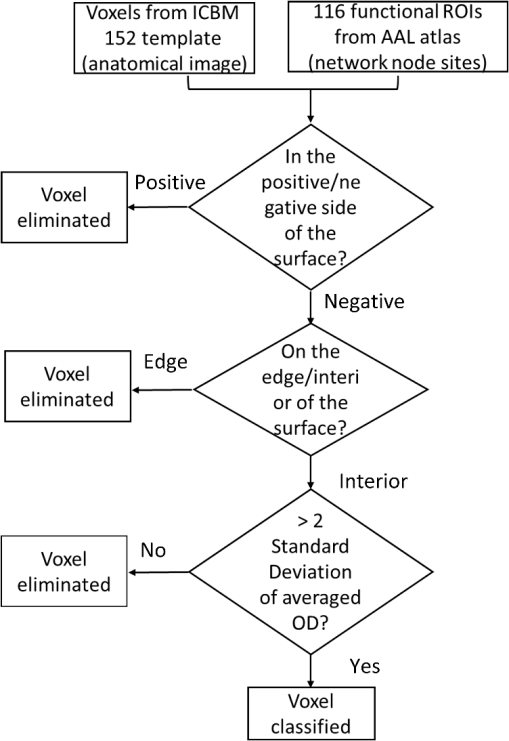 Automated Voxel Classification Used With Atlas Guided