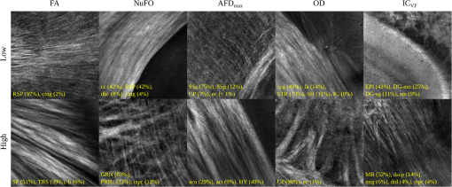 NPH_5_4_045004_f010.png