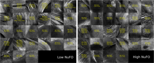 NPH_5_4_045004_f013.png