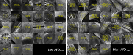 NPH_5_4_045004_f014.png