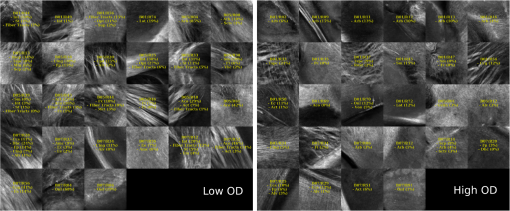 NPH_5_4_045004_f015.png