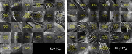 NPH_5_4_045004_f016.png