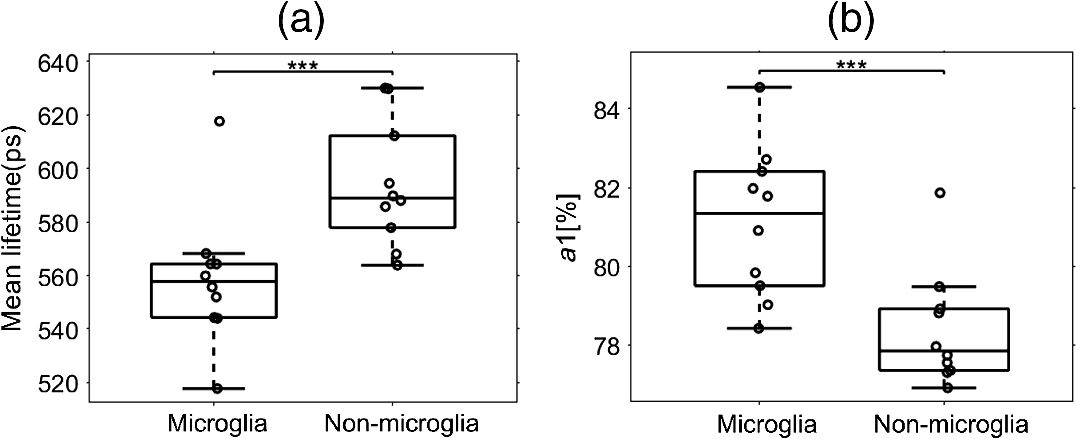 Microglia Activation Visualization Via Fluorescence Lifetime Imaging Microscopy Of Intrinsically Fluorescent Metabolic Cofactors
