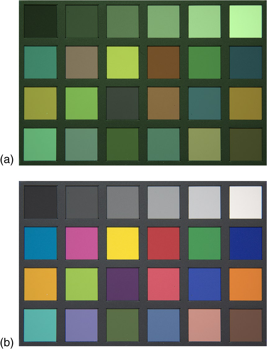 camera raw transform method camera raw transform method