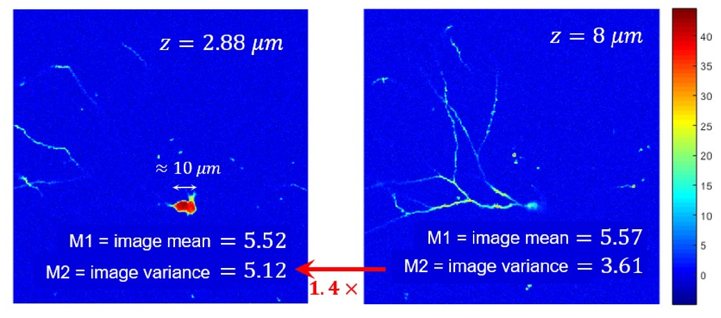 New Sensorless Wavefront Estimation Approach For Two Photon Scanning Microscopy