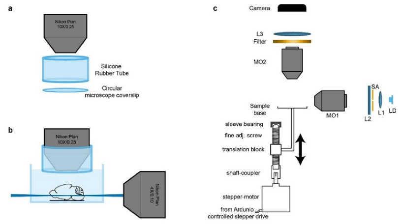 low cost light sheet microscopy for whole brain imaging light sheet microscopy price
