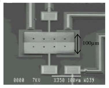Static And Dynamic Micro Deformable Mirror Characterization By