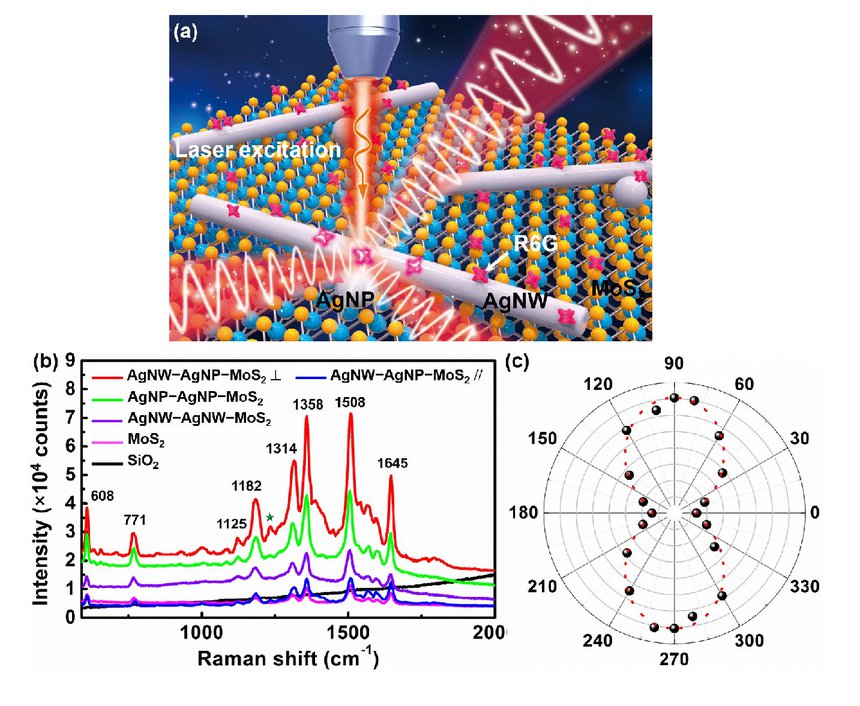 MoS2-based nanocomposites for surface enhanced Raman scattering