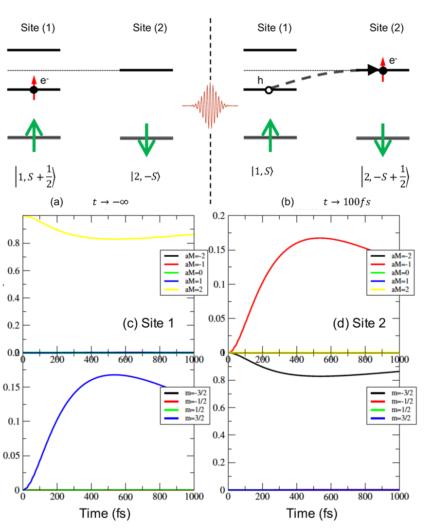 Theory Of Ultrafast Spin Charge Quantum Dynamics In Strongly Correlated Systems Controlled By Femtosecond Photoexcitation An Application To Insulating Antiferromagnetic Manganites Theory Of Ultrafast Spin Charge Quantum Dynamics In Strongly Correlated Systems Controlled By Femtosecond Photoexcitation An Application To Insulating Antiferromagnetic Manganites