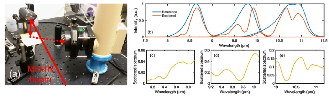 Chemical Detection Using Broadband Femtosecond Optical