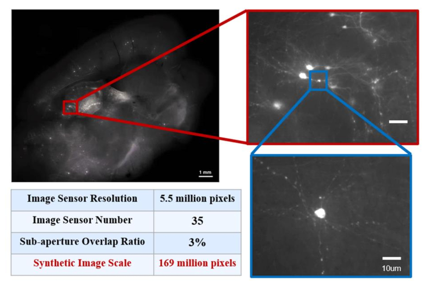 Annular oblique epi-illumination design for ultra-large-scale and
