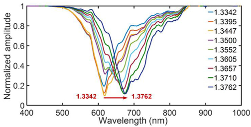 Comparative Analyses Of Different Interrogation Techniques Of An Interferometric Fiber Optic Spr Sensor Comparative Analyses Of Different Interrogation Techniques Of An Interferometric Fiber Optic Spr Sensor