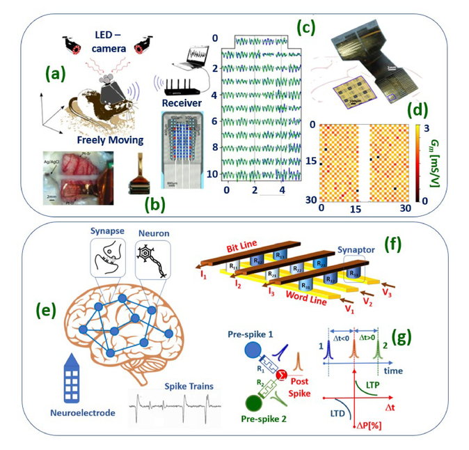 A walk on the frontier of energy electronics with power