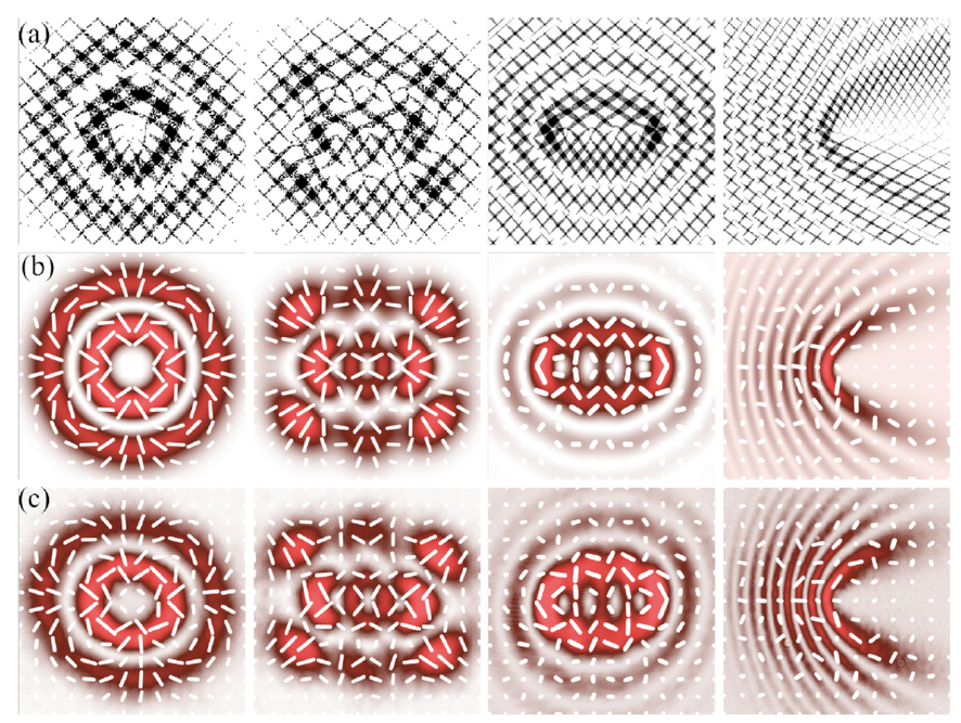 Ren様 Generation and characterization of complex vector modes with