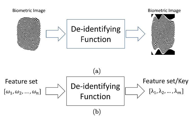 fingerprint sdk 2009 free download fingerprint sdk 2009 free download