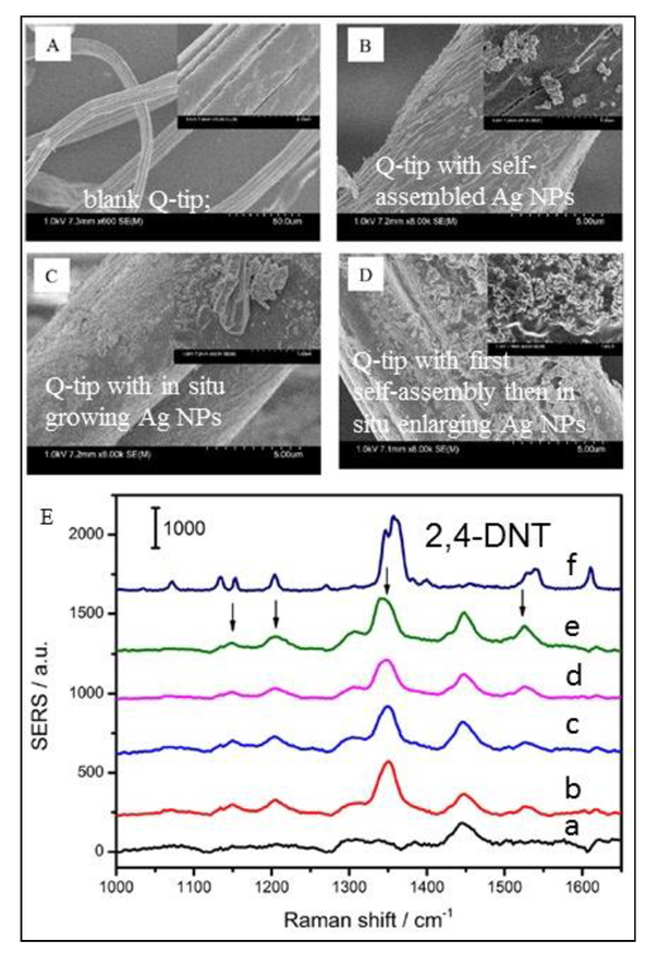 Flexible Sers Based Substrates Challenges And Opportunities
