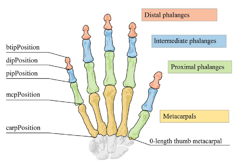 Possible Applications Of The Leap Motion Controller For More Interactive Simulated Experiments In Augmented Or Virtual Reality