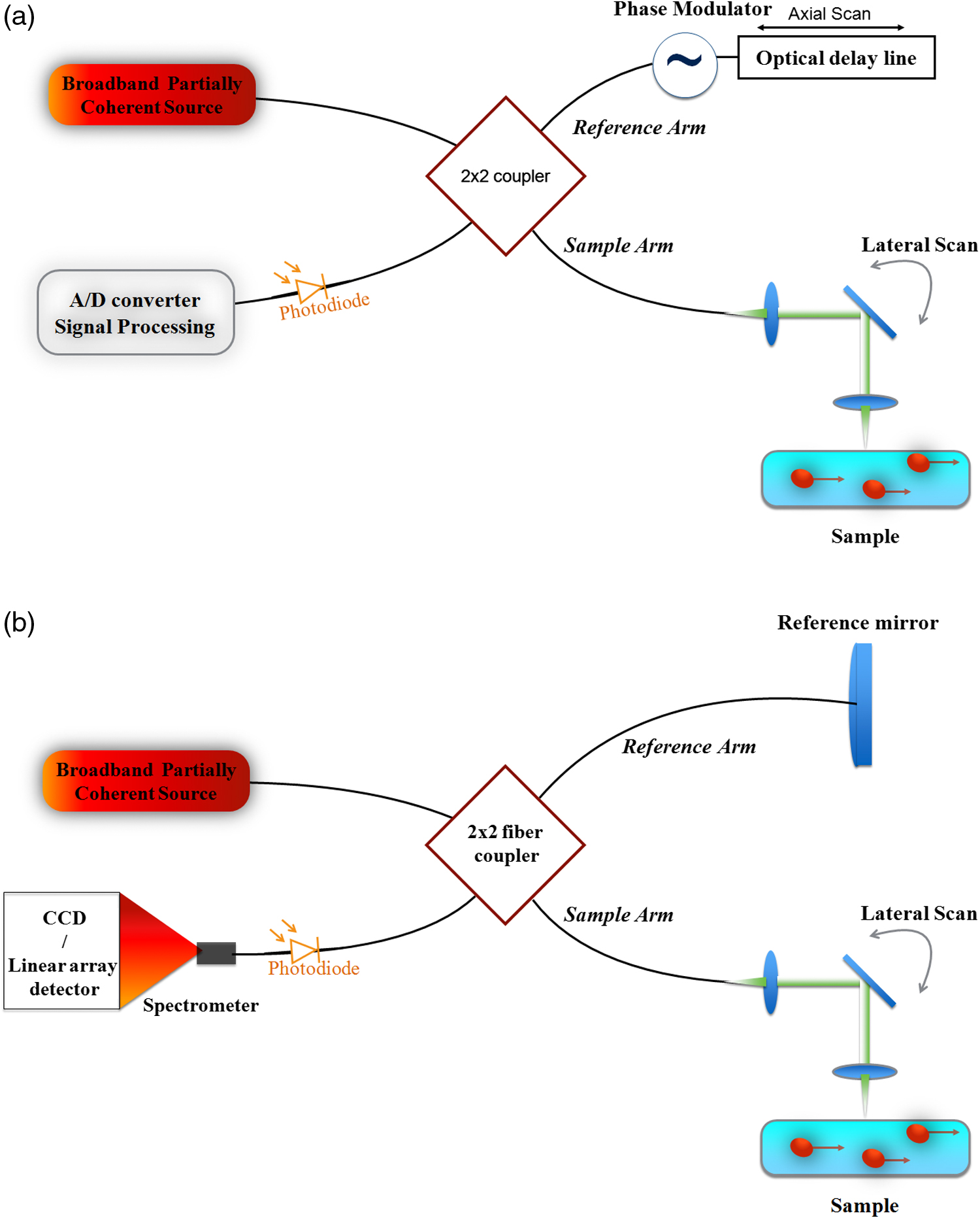 Optical Blood Flow Measurement In Microcirculatory Systems